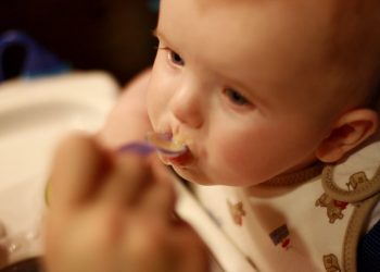 A Beginner’s Guide to Homemade Baby Food: Nurturing Little Appetites with Love