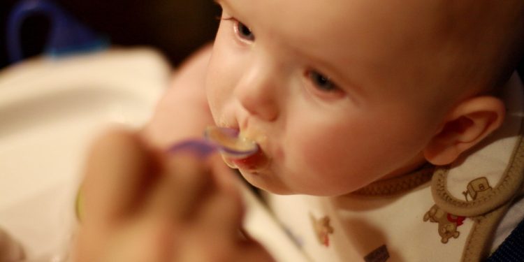 A Beginner’s Guide to Homemade Baby Food: Nurturing Little Appetites with Love A Beginner’s Guide to Homemade Baby Food: Nurturing Little Appetites with Love